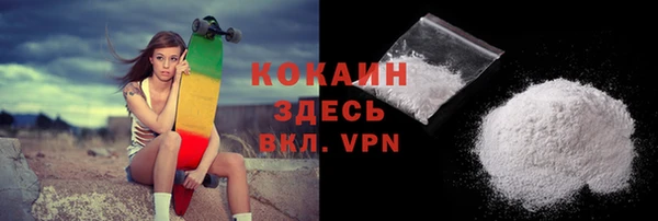 МДПВ Козловка