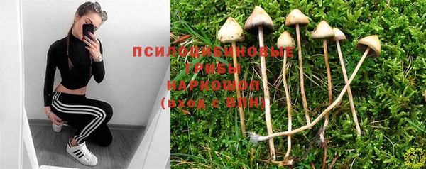 гашик Кодинск