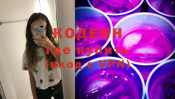 гашик Кодинск